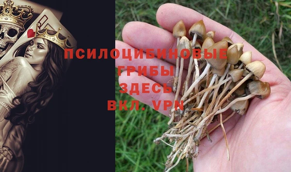 каннабис Алексеевка