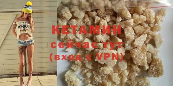 прущие грибы Дмитров
