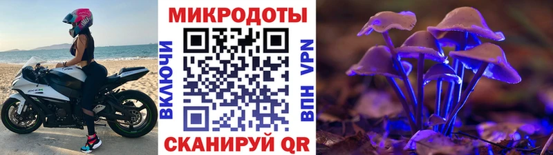 Галлюциногенные грибы мицелий  купить закладку  Осташков 
